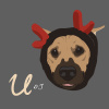 U-Single