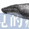 藍色信仰《聽不見的赫茲》Live現場版