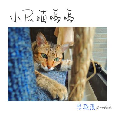 小Pa喵嗚嗚
