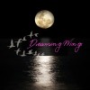 夢之翼 Dreaming Wings