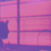 DEMO