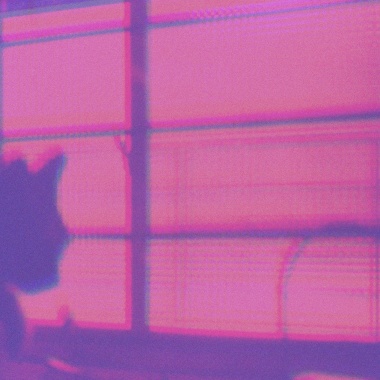 DEMO