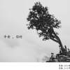 平安，你好