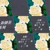 1050418_play flower