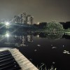 池塘♨︎淺彈 music demos for THE POND