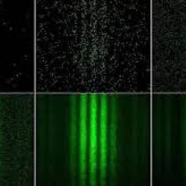 YtilCausalitY