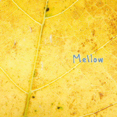 Mellow