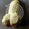 美好的一天