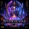 SYNTHETIC SOUL＃合成靈魂