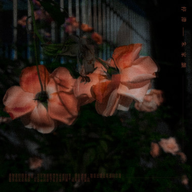 你的下一步