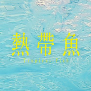 大家是大家