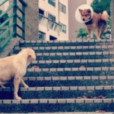 2012-台灣嘻哈街舞紀錄片主題曲