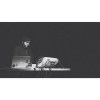 Liveset 2019_01_11 @ 玩劇島 Little Play - Detroit Fat Kids