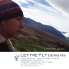 Let Me Fly