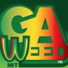 MC GaWeed