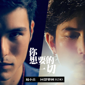 你想要的一切 (Everything You Wanted) Feat. 鳳小岳