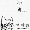  仰 角 