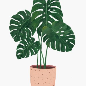 龔敬文 Cw Kung-樂手站出來