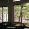 你就不要想起我