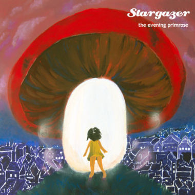 stargazer
