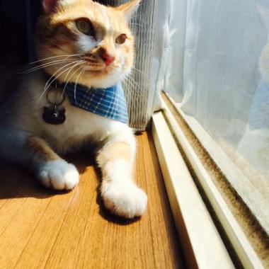 看見