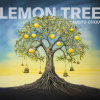 Lemon Tree