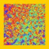WYL_DEMO