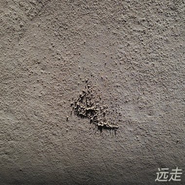 在夏日的风里