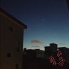 鲜花般的她