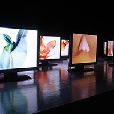 2006 國際蘭展【花外之境】科技藝術展配樂