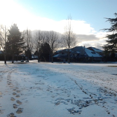 20110203 Wordless Story