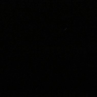 20101129 永別