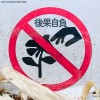 01-因果 karma fruit