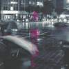 冬雨