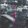 冬雨
