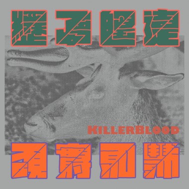 經歷了夢的遙遠是否現實將更加豐沛