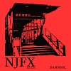 Started from NJFX (Intro)