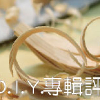 D.I.Y.專輯評介