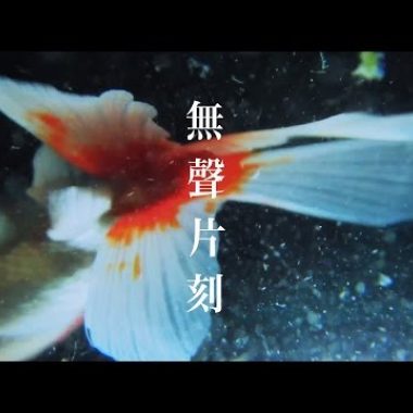 配樂