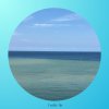 向海