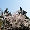 愛情而已DEMO