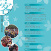 影仔Demo