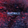 Released Single