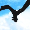 空白