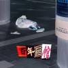 第九届乌镇戏剧节青年竞演G15《百年酒馆》 插曲集
