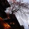 京都，妳。