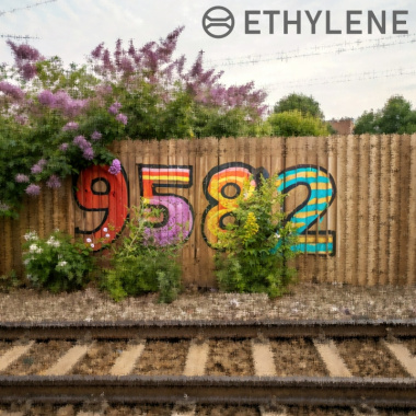 9582