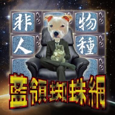 藍領蜘蛛網