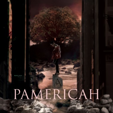 美式教育PAMERICAH