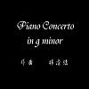 Piano Concerto in g minor (test)